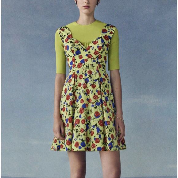 Emilia Wickstead ‘Riona’ Silk Dress Scattered Roses Print NWT Sz US 4 Skater - Picture 1 of 12